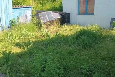 Casă cu Teren 2200 Mp în Iacobeni - 3