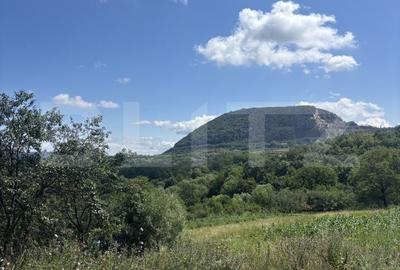 Teren de 1800 mp, în Moigrad-Porolissum