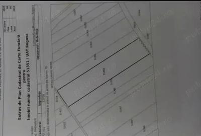 Teren de 15027 mp, în Exterior Vest - 1