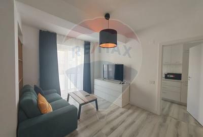 Apartament cu 2 camere semidecomandat, mobilat în Parcul Carol - 2