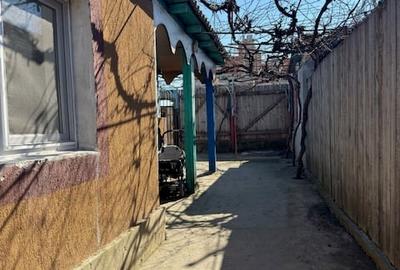 Casă cu 4 camere cu Teren 388 Mp în Palazu Mare - 17
