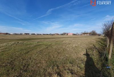 Teren Construcții intravilan de 6400 mp, în Pădureni (Jebel) - 20