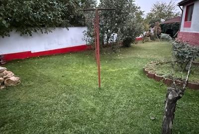 Casă individuală cu 5 camere cu Teren 800 Mp în Mihail Kogălniceanu - 7