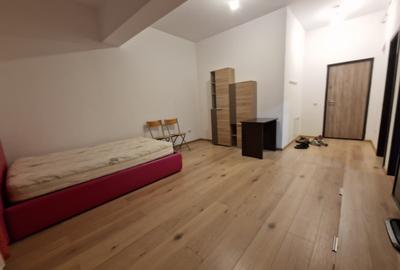 Garsonieră decomandată, mobilată în Nicolina - 10