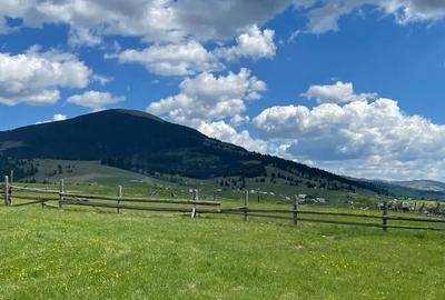Teren în Dealu - 6