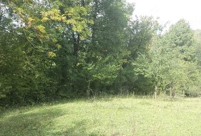 Teren de 14340 mp, în Provița de Jos