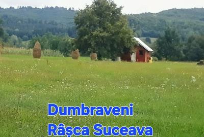 Teren de 6879 mp, în Dumbrăveni - 4