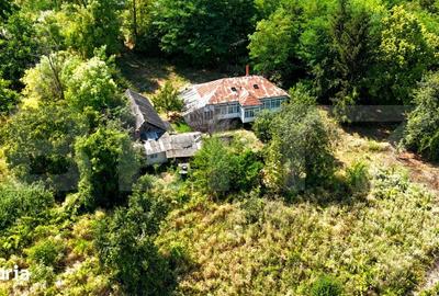 Casă cu 4 camere cu Teren 3000 Mp în Răducăneni