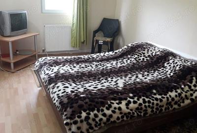 Casă cu Teren 2500 Mp în Corbu (Cătina)