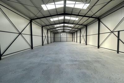 Spațiu industrial, de 160 mp, în Ovidiu