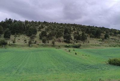 Teren de 1400 mp, în Central
