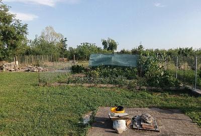 Casă cu 2 camere cu Teren 688 Mp în Central - 1
