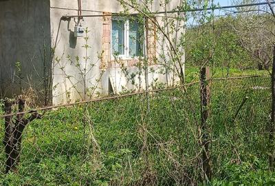 Casă cu 1 camere cu Teren 800 Mp în Central