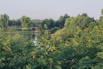 Teren Construcții intravilan de 1000 mp, în Clinceni - 2