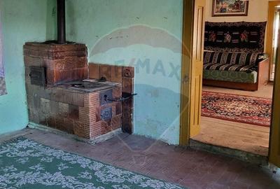 Casă cu 3 camere în Deleni - 1