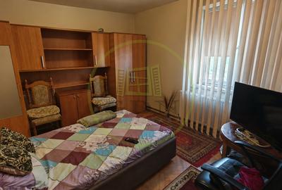 Apartament cu 2 camere semidecomandat, mobilat în George Enescu - 3