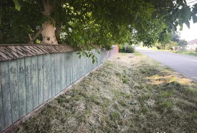 Casă cu 3 camere cu Teren 6500 Mp în Negostina - 4