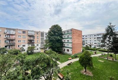 Apartament cu 2 camere semidecomandat, mobilat în Gojdu - 6