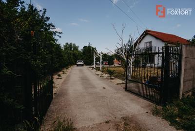Casă individuală cu 8 camere cu Teren 4424 Mp în Jebel - 5