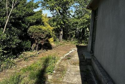 Casă cu 3 camere în Ghioroc - 3