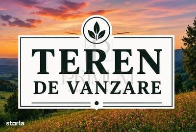 Spațiu comercial, în Moșnița Nouă