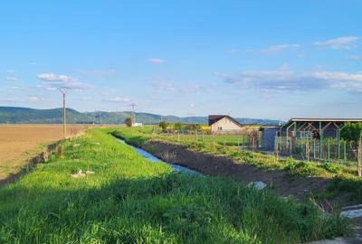 Teren de 5760 mp, în Letea Veche