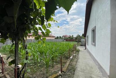 Casă cu 5 camere cu Teren 1784 Mp în Merei - 3
