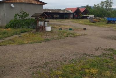 Spațiu comercial, în Apoldu de Jos - 4