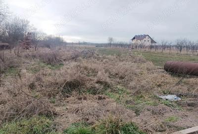 Teren de 3000 mp, în Vad - 3