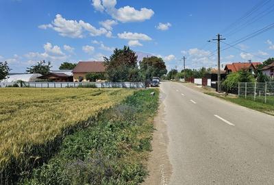 Teren Construcții intravilan de 15000 mp, în Prelipca - 12