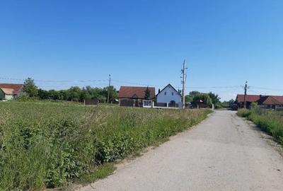Teren de 5000 mp, în Hărman