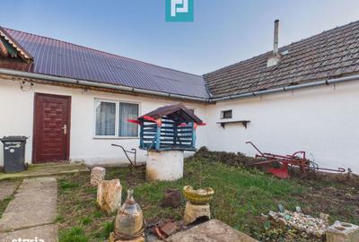 Casă cu 7 camere cu Teren 3141 Mp în Macea - 11