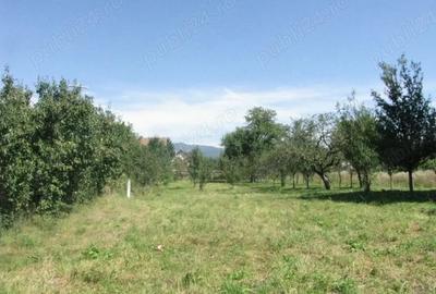 Teren de 4400 mp, în Prejmer - 2