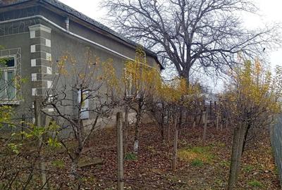 Casă individuală cu 5 camere cu Teren 1314 Mp în Central - 2