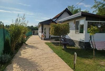 Casă cu 4 camere în Petrovaselo - 3