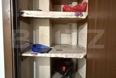 Apartament cu 2 camere semidecomandat în Mureșeni