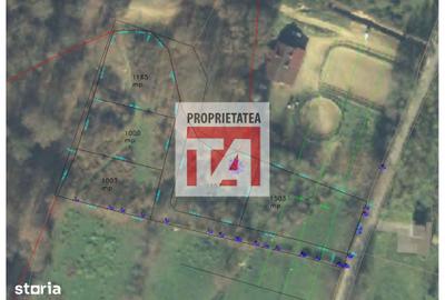 Teren de 1000 mp, în Tăuții-Măgherăuș