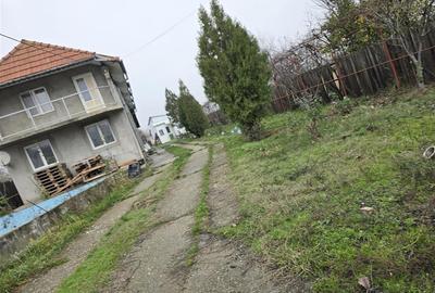 Casă individuală cu 4 camere cu Teren 2083 Mp în Pielești - 8