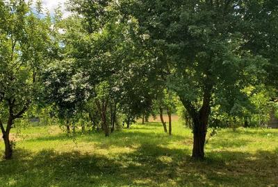 Casă cu 4 camere în Jichișu de Jos - 3