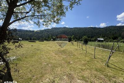 Teren de 2802 mp, în Borca