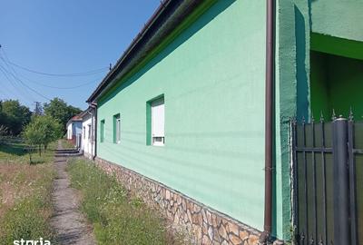 Casă cu 4 camere cu Teren 2877 Mp în Brazii - 18