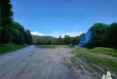 Teren Construcții intravilan de 12000 mp, în Vama Buzăului - 4
