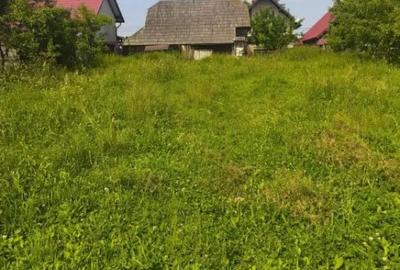 Casă cu 4 camere cu Teren 2600 Mp în Horodnic - 2