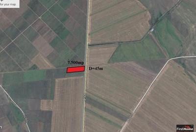 Teren agricol extravilan de 7500 mp, în Bolotești - 5