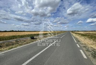 Teren de 55000 mp, în Ianova