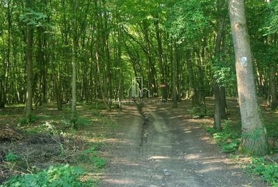 Teren extravilan de 90000 mp, în Corunca - 7