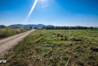 Teren de 600 mp, în Central