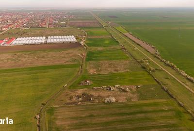 Teren de 6150 mp, în Livada - 2