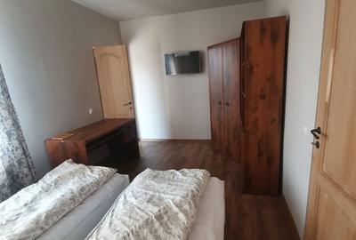 Casă cu 3 camere decomandat cu Teren 3000 Mp în Șăulia - 3