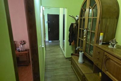 Apartament cu 3 camere decomandat în Micălaca - 3